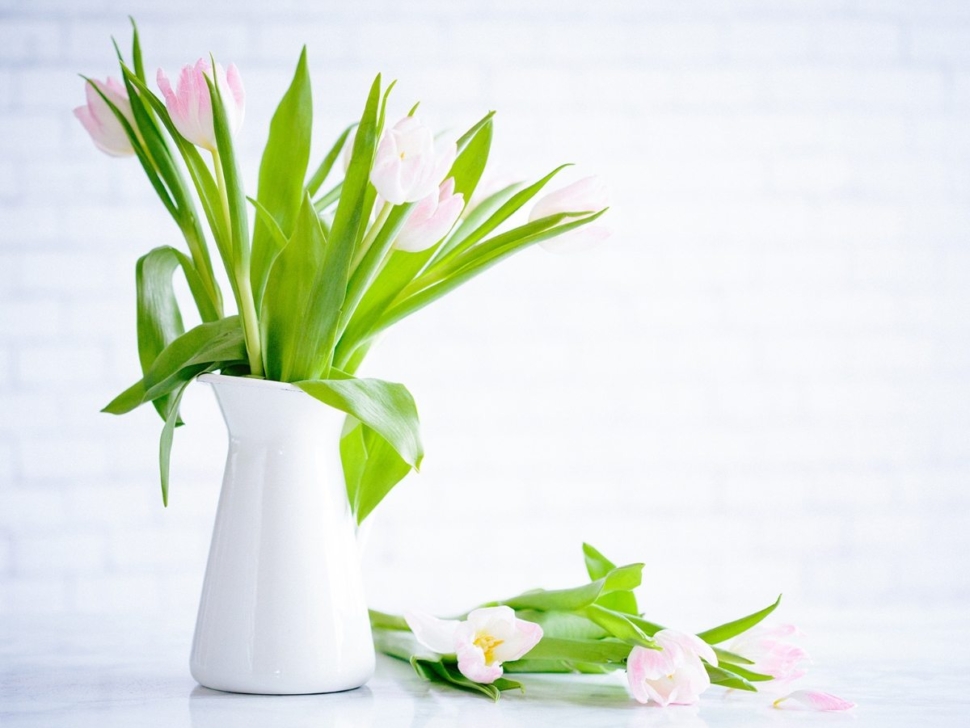 brooke-lark-210780@2x